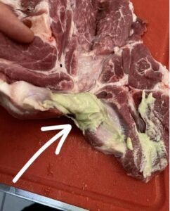 583226819_1370575151177945_8258953960352750994_n