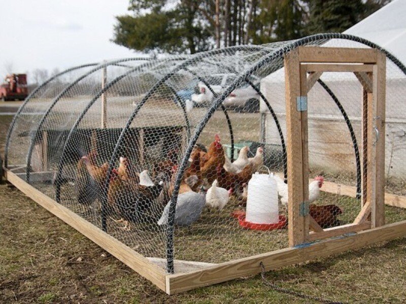 Kako izgraditi kokošinjac