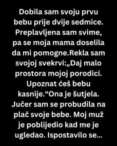597247261_1407843587371642_8148987519232516296_n