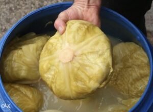 slika-201210-63e4d0a690537-velika-696x511