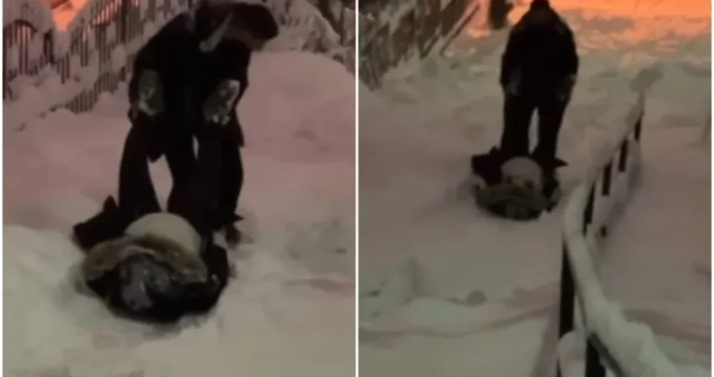 par-1068x564-1-1024x541