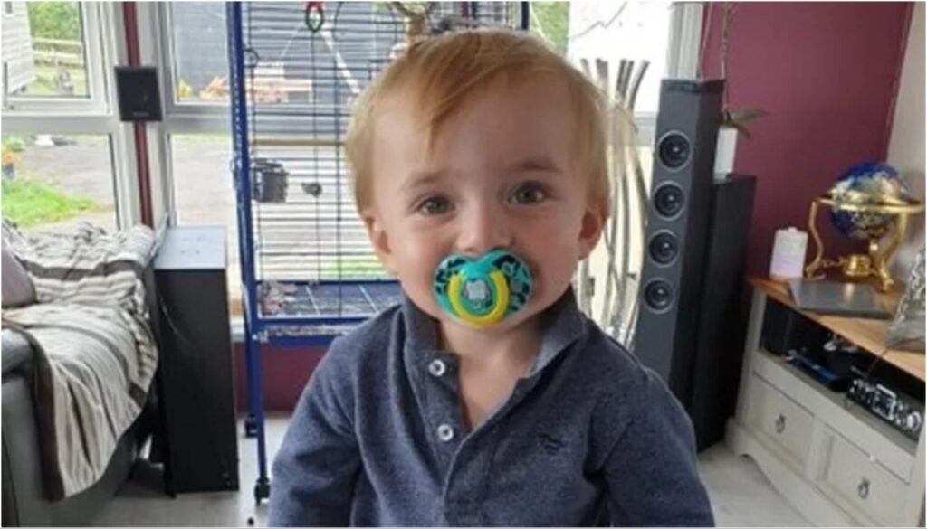 Alfie-Phillips-1024x585-1