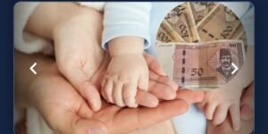 Screenshot_2026-02-23-07-43-30-36_be80aec1db9a2b53c9d399db0c602181-1024x513