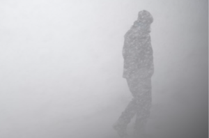 Snimak_ekrana_2026-01-25_194306-768x506