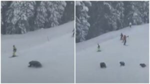 c13b56c1-10c1-4d41-a301-027bed7a8f53-1024x575