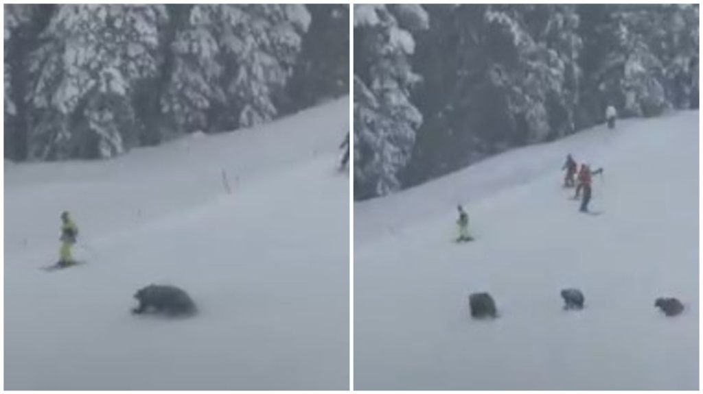 c13b56c1-10c1-4d41-a301-027bed7a8f53-1024x575