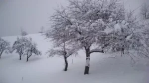 snijeg-sneg-640x359-1