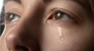 Screenshot-2026-03-18-213623