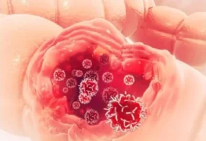 Screenshot-2026-03-24-065141