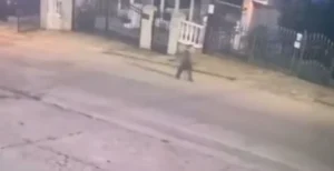 R7Zk9kpTURBXy82ZmFmZjA3NjMwNjczZGUxMWIxZDQwZjhkNTUxMzFjMS5qcGeRkwLNA6wA3gABoTAF-768x394