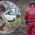 Tražili su je SKORO DVIJE GODINE, a SADA je otkrivena istina: 0vakvoj istini se niko nije nadao, ukradena je zbog 0rgana, evo koliko su platili?