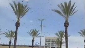 c270ffdf-717a-4390-a371-e6abf20efe20