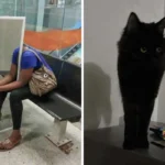 Fotografije koje će vam potpuno zbuniti mozak – pogledajte dva puta