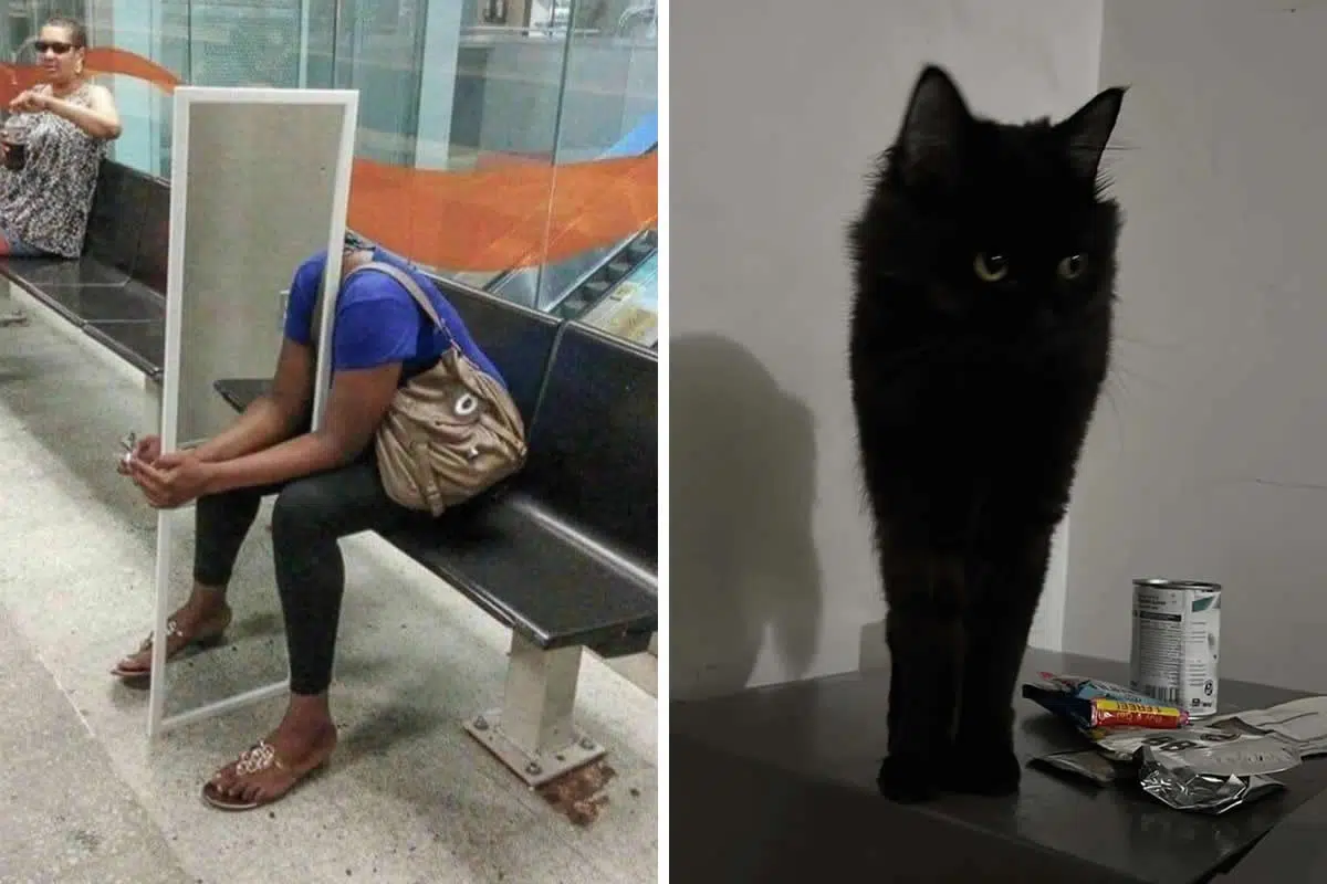 Fotografije koje će vam potpuno zbuniti mozak – pogledajte dva puta