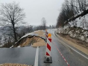 image_1775230107600-768x576 (1)