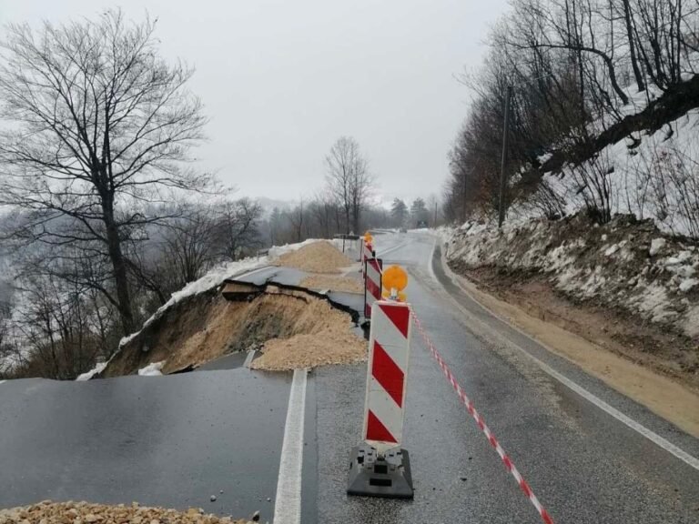 image_1775230107600-768x576 (1)