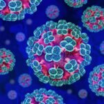 „Hantavirus je prisutan“: Šta treba znati o simptomima i zaštiti
