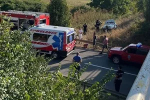 676535_leskovac_f